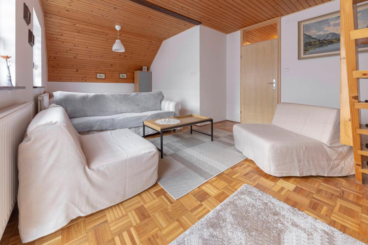 Apartma Mikelj ボーヒニ エクステリア 写真